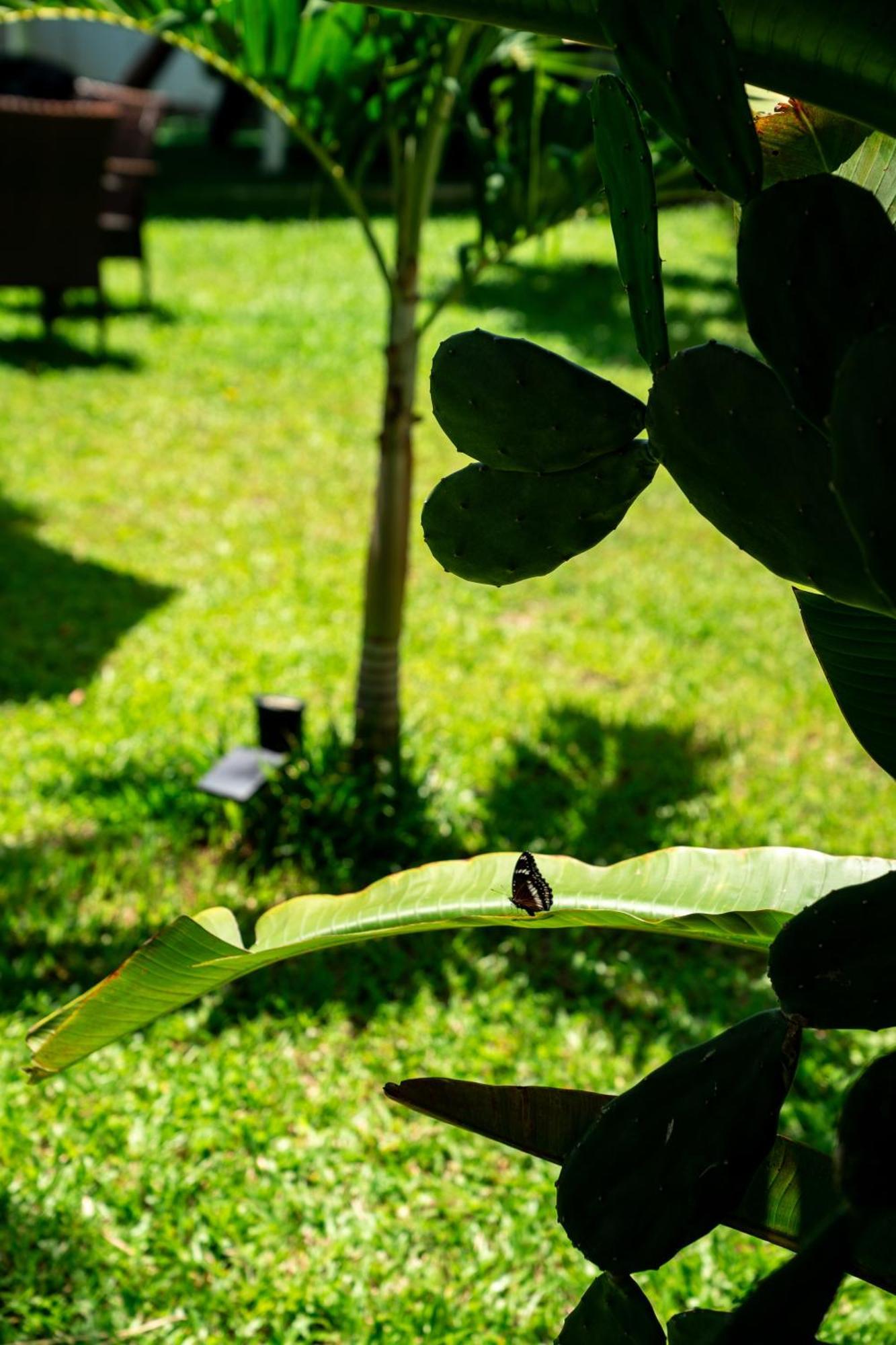 Koh Samui Resort & Restaurant Taling Ngam  Exterior photo